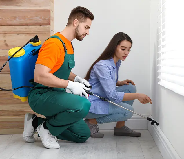 Trusted Affordable Bed Bug Treatment Experts in Kearny, NJ