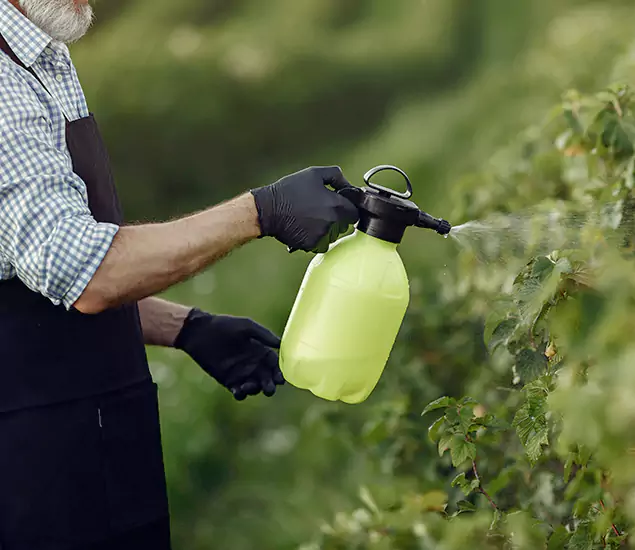 Your Proven Mosquito Treatment Company in Kearny, NJ