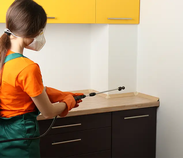 Trusted Bed Bug Pest Control Specialist in Kearny, NJ