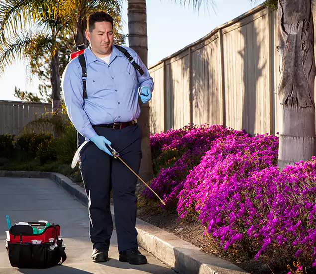 About Our Eco Safe Pest Control Experts in Kearny, NJ