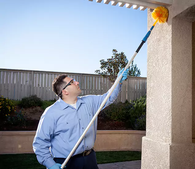 Trusted Experts in Kearny NJ for Formosan Termite Treatment and Black Termite Control