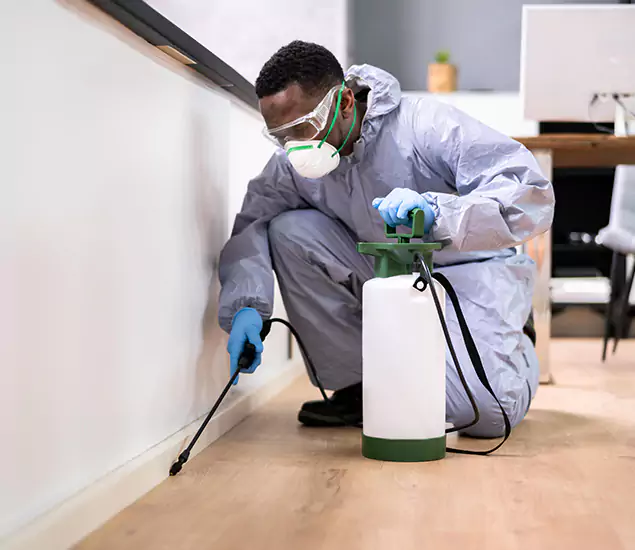 Leading Industrial Pest Control Experts Serving Kearny, NJ