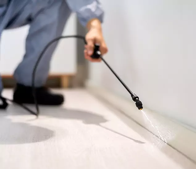 About Our Liquid Termite Treatment Experts in Kearny, NJ