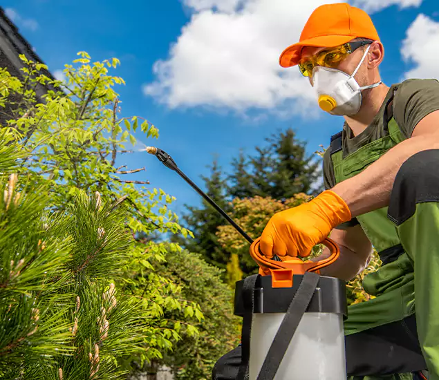 Your Mosquito Repellent Barrier Service in Kearny, NJ