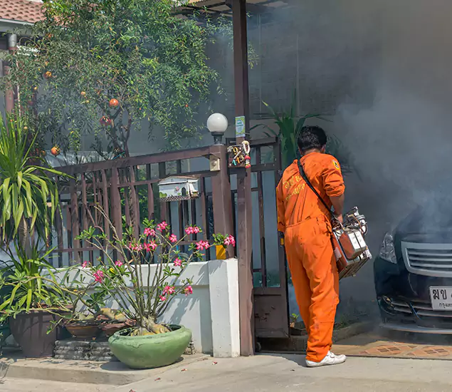 Your Proven Mosquito Fogging Company in Kearny, NJ
