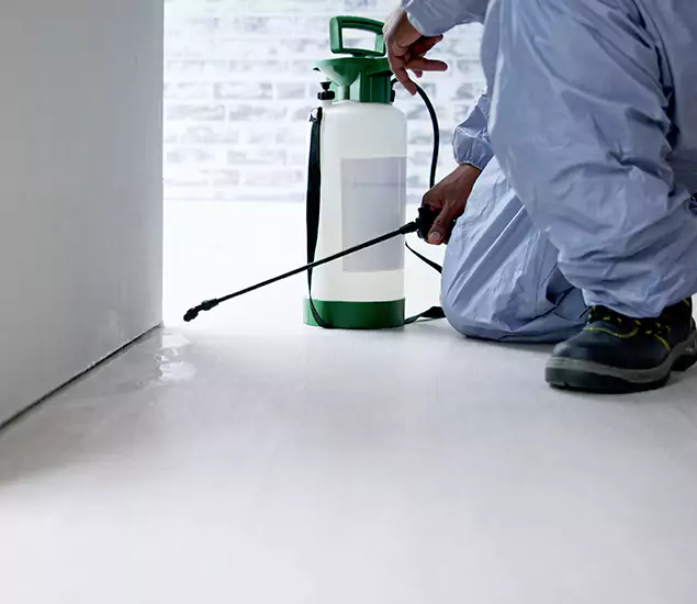 Affordable Pest Control Experts in Kearny, NJ
