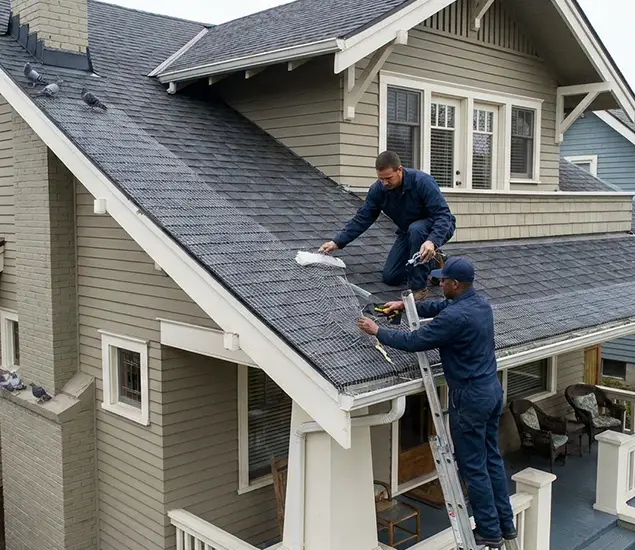 Your Pigeon Control Experts in Kearny, NJ