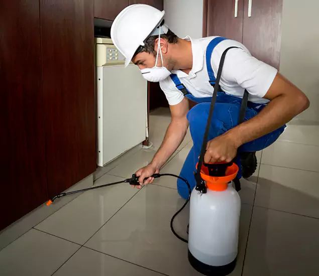 Advanced Termite Pre Treatment Experts in Kearny, NJ