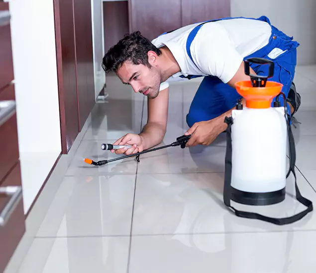 Trusted Rat Control Services Specialists in Kearny, NJ