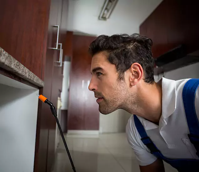 Expert Rodent in Attic Removal: Your Proven Pest Specialists in Kearny, NJ