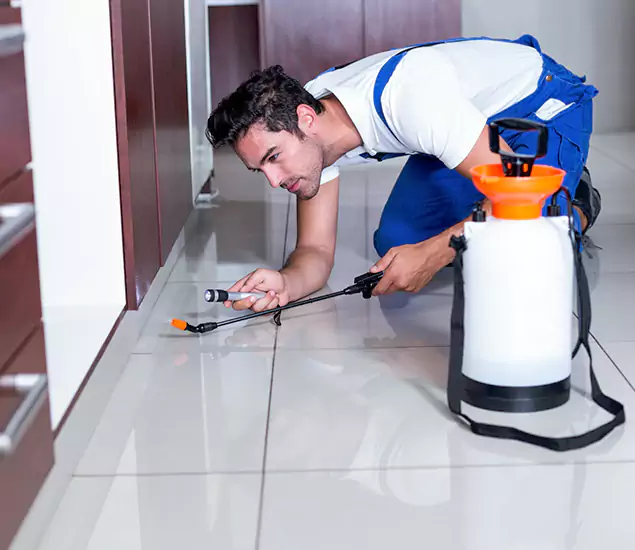 Advanced Slab Termite Treatment Experts You Can Trust&nbsp;in Kearny, NJ