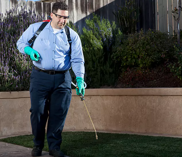 Reliable Termite Barrier Treatment Experts in Kearny, NJ