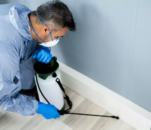 Reliable Termite Cost Experts in Kearny, NJ