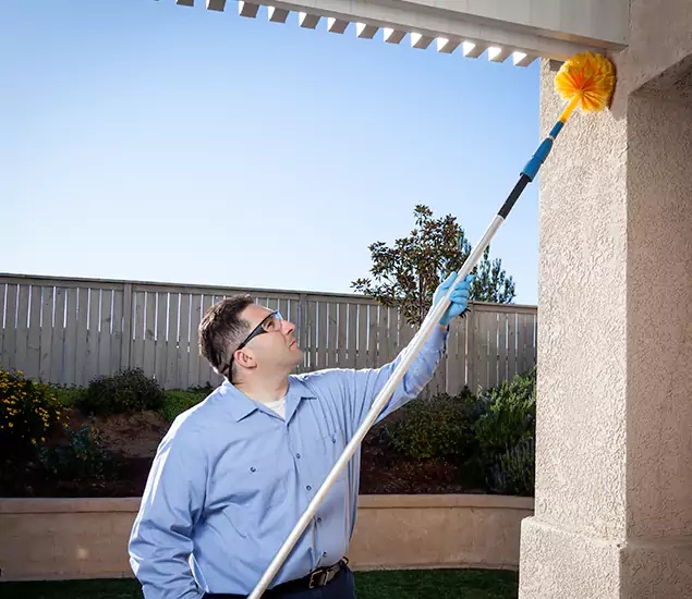 Your Trusted Wasp Removal Company in Kearny, NJ