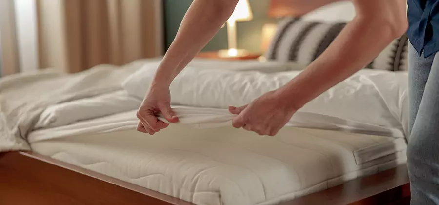 Bed Bug Extermination Services in Kearny