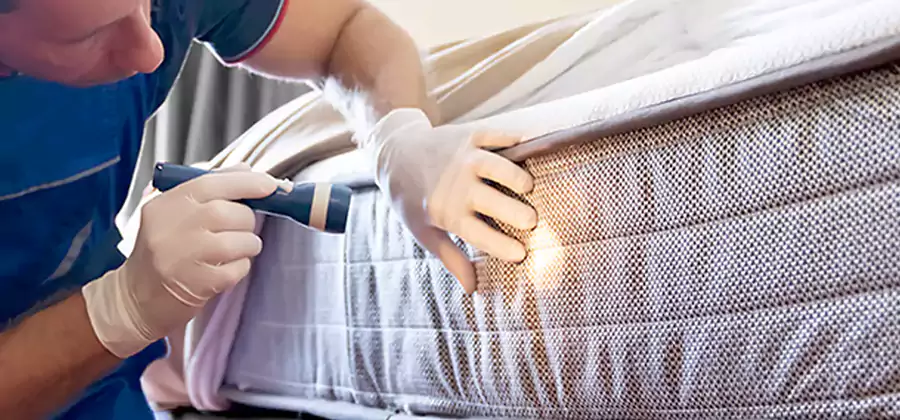 Residential Bed Bug Treatment Cost in Kearny