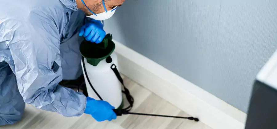 Fumigate Apartment Roaches in Kearny