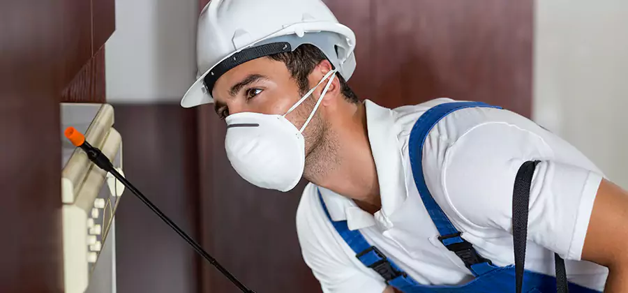 Injection Foam Treatment for Drywood Termites in Kearny