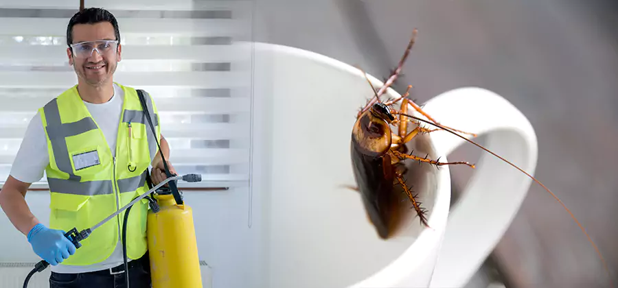 German Roach Infestation Treatment Kearny