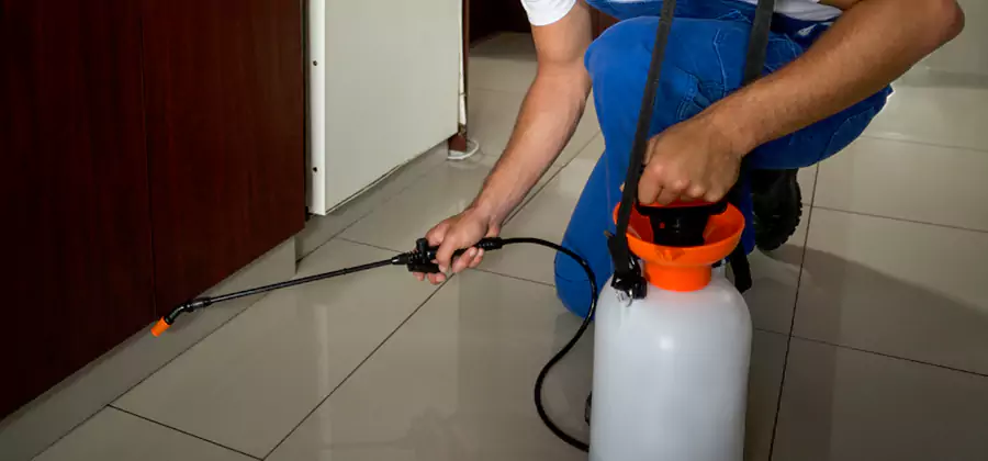 Indoor Mosquito Treatment in Kearny