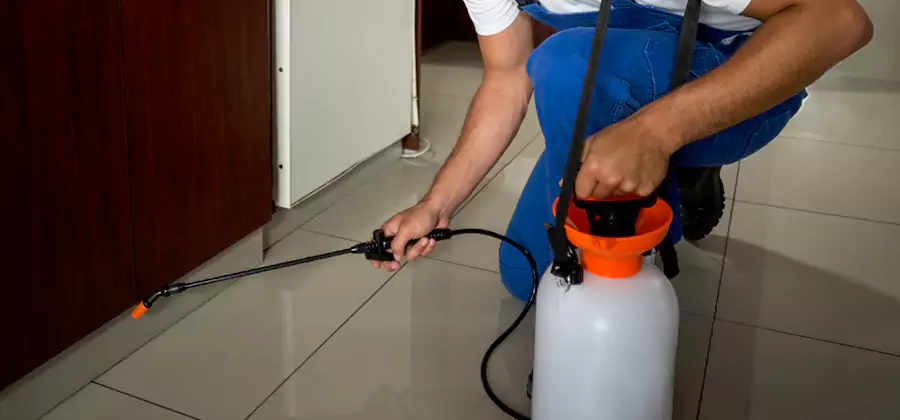 Indoor Insect Killer Solutions in Kearny