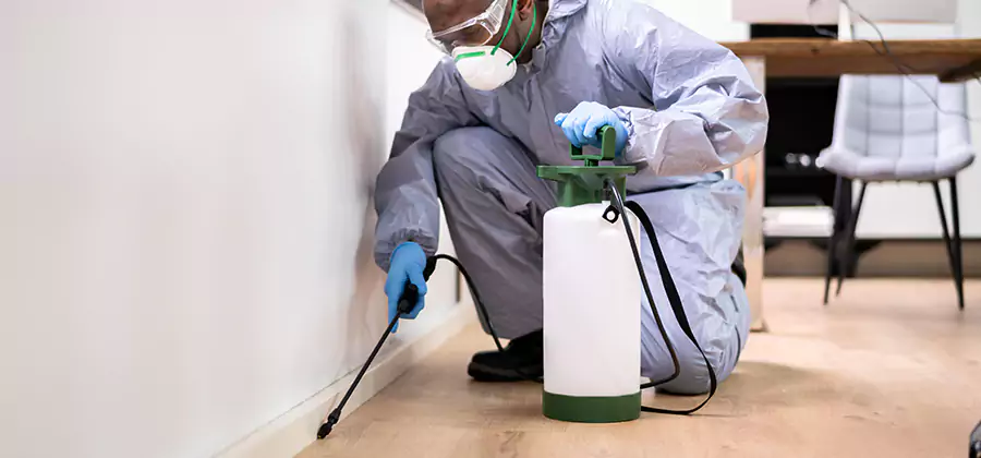 Long Lasting Mosquito Treatment in Kearny