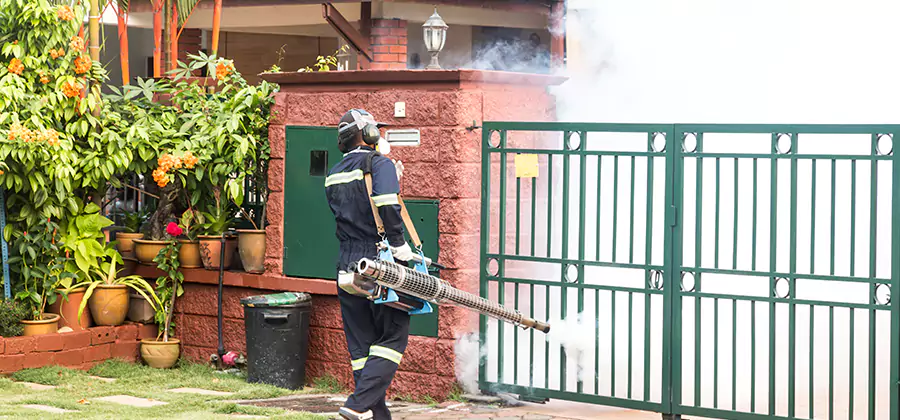 Backyard Mosquito Foggers Service in Kearny