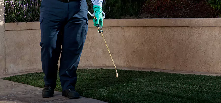 Soil Treatment for New Construction Termites in Kearny