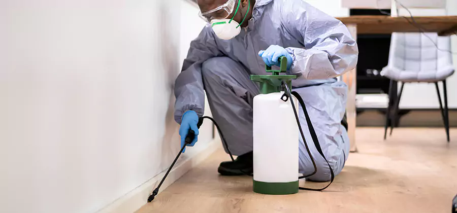 No Tent Termite Extermination With Electric Tool in Kearny