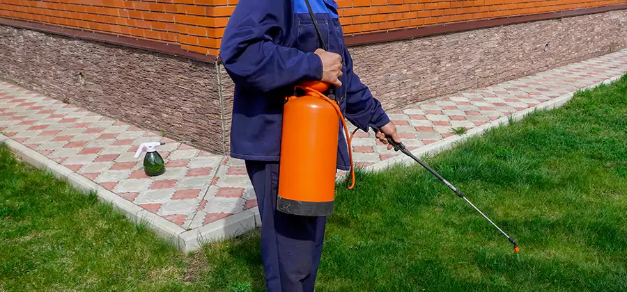 Non Toxic Termite Treatment in Kearny
