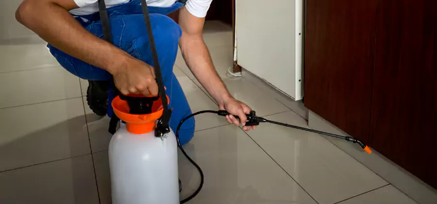 One Time Termite Control in Kearny