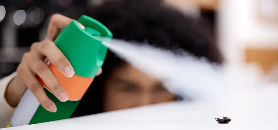 Child Safe Bed Bug Treatment in Kearny