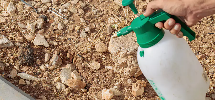 Heat Treatment Termite Cost in Kearny