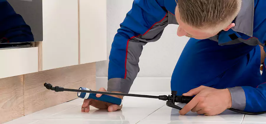 Moisture Treatment For Termite Control Service in Kearny