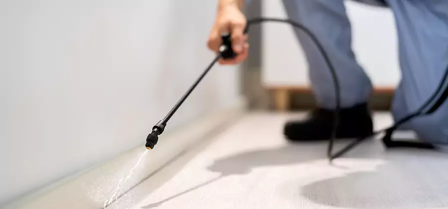 Direct Termite Injection Treatment in Kearny