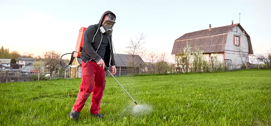 Flea and Tick Pest Control in Kearny