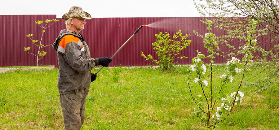 Flea and Tick Spray for Yard in Kearny