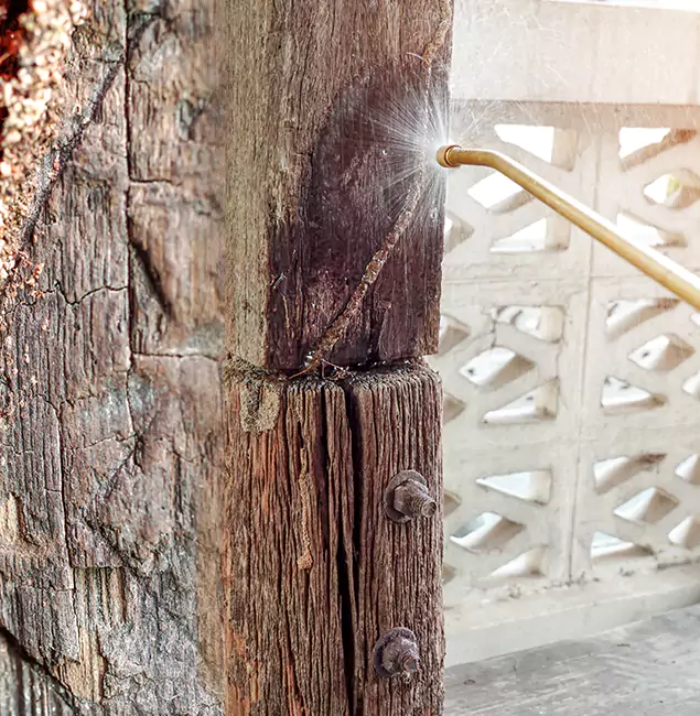 Why Choose Kearny Pest Control Pro for Attic Termite Treatment in Kearny, NJ?