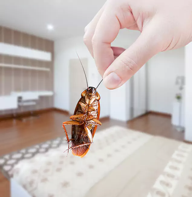 Why Kearny Pest Control Pro Stand Out for Bed Bug Fumigation in Kearny, NJ?