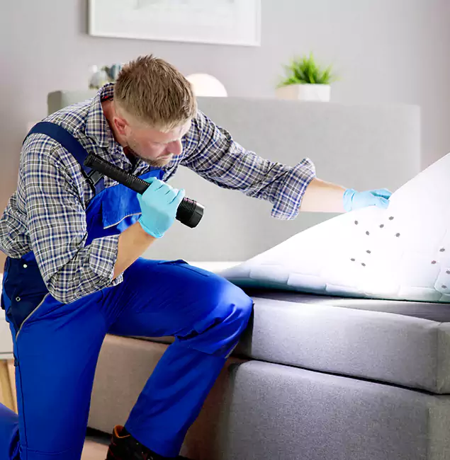 Why Choose Kearny Pest Control Pro For Bed Bug Heat Treatment in Kearny, NJ?
