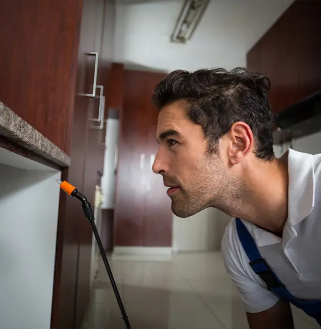 Why Choose Kearny Pest Control Pro for Bed Bug Removal Cost in Kearny, NJ?