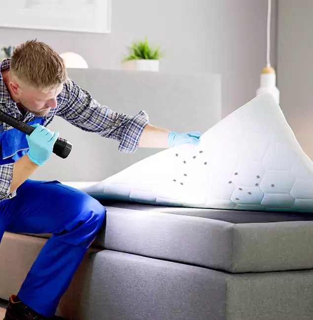 Why Choose Kearny Pest Control Pro in Kearny, NJ?