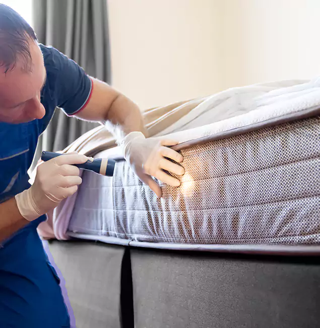 Why Choose Kearny Pest Control Pro for Bed Bug Services in Kearny, NJ?