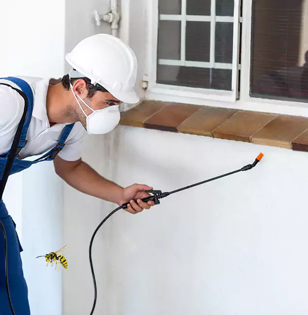 Why Kearny Property Owners Choose Kearny Pest Control Pro for Bee Nest Removal?