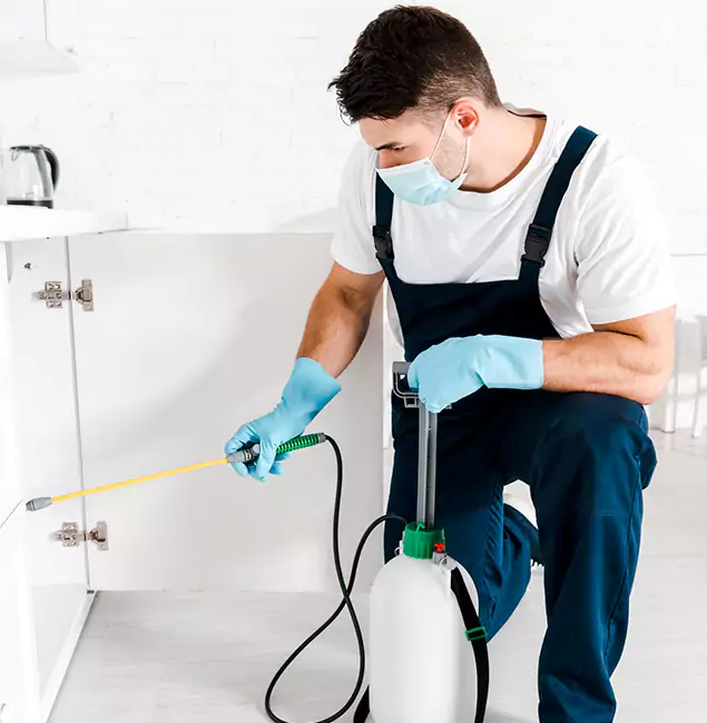 Why Choose Kearny Pest Control Pro for Emergency Pest Control in Kearny?