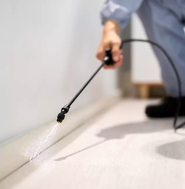 Why Choose Kearny Pest Control Pro for Termite Treatment in Kearny, NJ?