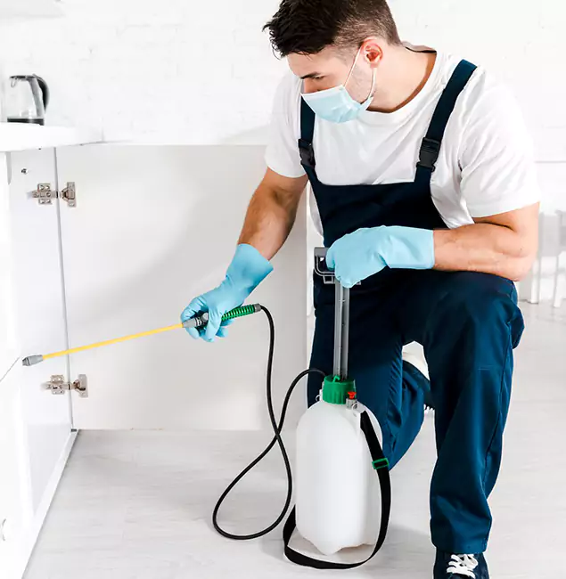 Why Kearny, NJ Homeowners Trust Us for German Roach Control?