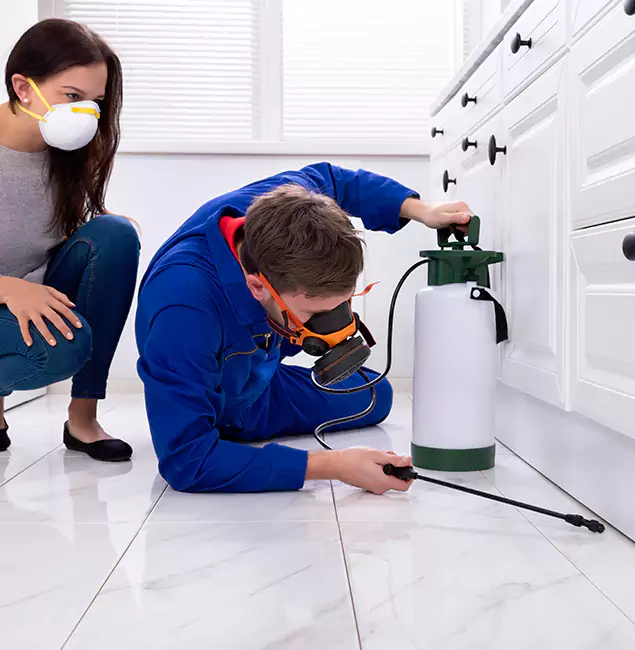 Why Kearny, NJ Homeowners Trust Kearny Pest Control Pro for Roach Control?