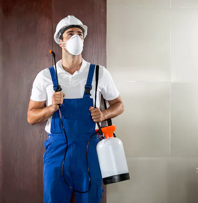 Why Choose Us for Heat Treatment for Termites in Kearny, NJ?