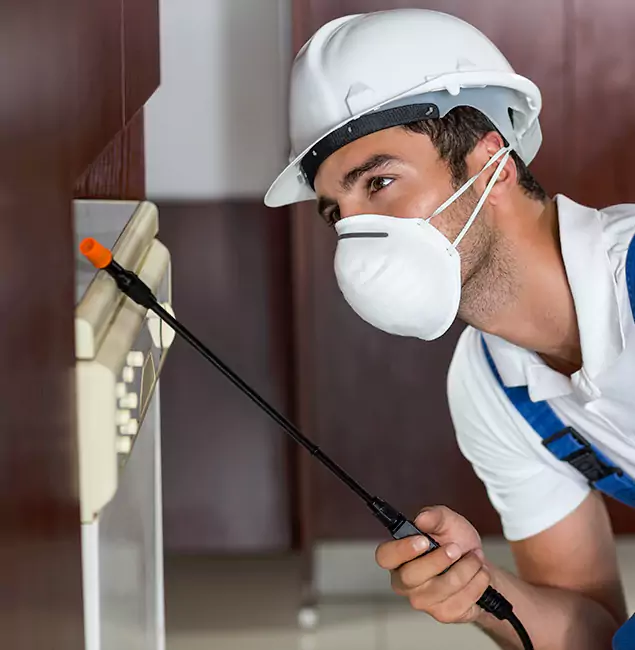 Why Kearny Homeowners Rely on Kearny Pest Control Pro for Tick Treatment?
